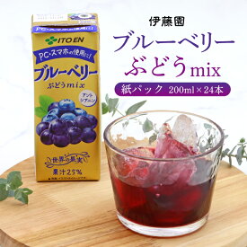 【ふるさと納税】伊藤園 ブルーベリーぶどうmix 紙パック 200ml 24本／果汁入り飲料 パック飲料 ジュース ドリンク ブルーベリー 葡萄 ぶどう ブドウ アントシアニン 健康 スマホ PC パソコン 東北 山形 寒河江