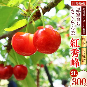 �y�ӂ邳�Ɣ[�Łz�s��s�\��t�ߘa8�N�Y �����炿 �������� �g�G�� 2L ���G�i 300g ���ϋl�i���A�X�`���[������j�R�`���Y �y2026�N4�����{���`5�����{�������\��z ���z���s�� ����E���� 2