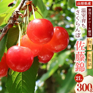 �y�ӂ邳�Ɣ[�Łz�s��s�\��t�ߘa8�N�Y �����炿 �������� ������ 2L ���G�i 300g ���ϋl�i���A�X�`���[������j�R�`���Y �y2026�N4�����{���`5�����{�������\��z ���z���s�� ����E���� 2