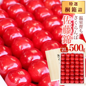 【ふるさと納税】《先行予約》特選 山形県産 温室育ち さくらんぼ 佐藤錦 2L 特秀品 500g 桐箱詰(発泡スチロール梱包)令和8年産【2026年5月上旬頃〜5月下旬頃発送予定】※ 配送不可 沖縄・