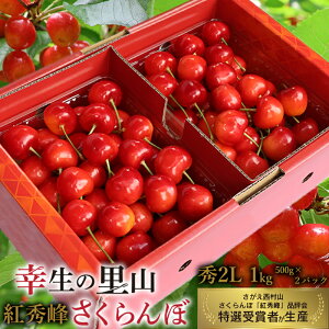 �y�ӂ邳�Ɣ[�Łz�s��s�\��t�ߘa8�N�Y �K���̗��R �������� �u�g�G��v�G�E2L�T�C�Y�ȏ� 1kg�i500g×2�p�b�N�j�R�`���Y �y2026�N7����{���`7�����{�������\��z ���z���s�� ����E���� 2026