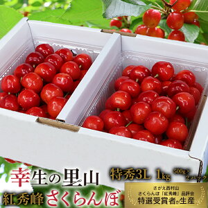 �y�ӂ邳�Ɣ[�Łz�s��s�\��t�ߘa8�N�Y �K���̗��R �������� �u�g�G��v1kg�i500g 2�p�b�N�j���G�i 3L�T�C�Y �R�`���Y �y2026�N7����{���`7�����{�������\��z ���z���s�� ����E���� 2026�N