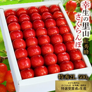 �y�ӂ邳�Ɣ[�Łz�s��s�\��t�ߘa8�N�Y �K���̗��R �������� �u�g�G��v2L�T�C�Y ���G�i 500g ���ϋl�i���A�X�`���[����j�R�`���Y �y2026�N7����{���`7�����{�������\��z ���z���s�� 