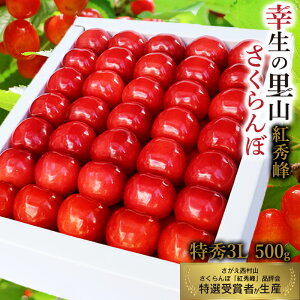 �y�ӂ邳�Ɣ[�Łz�s��s�\��t�ߘa8�N�Y �K���̗��R �v���~�A�� �������� �u�g�G��v3L�T�C�Y ���G�i 500g ���ϋl�i���A�X�`���[������j�R�`���Y �y2026�N7����{���`7�����{�������\��z 