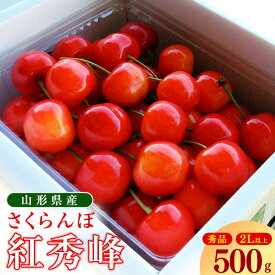【ふるさと納税】 【先行予約】令和8年産 さくらんぼ 「 紅秀峰 」500g ~ 1kg 秀品 2Lサイズ以上 2026年産 山形県産 【2026年6月中旬頃〜7月上旬頃発送予定】※配送不可 沖縄・離島 お取り寄せ フルーツ 果物 くだもの 果実 サクランボ ご当地 特産 産地 直送 高級 季節