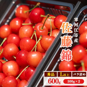yӂ邳Ɣ[Łzss\ItR`Y  IׂIu  v300g ` 600g Gi LTCYȏ y2026N6{`{\zzs E t[c ʕ ʎ R`