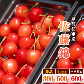 【ふるさと納税】《先行予約！》山形県産 さくらんぼ 選べる！「 佐藤錦 」300g 〜 600g 秀品 Lサイズ以上 【2026年6月上旬頃〜下旬頃発送予定】※配送不可 沖縄・離島 フルーツ 果物 果実 山形産 300グラム 250グラム 500グラム 600グラム 2026年産 令和8年産 山形県産