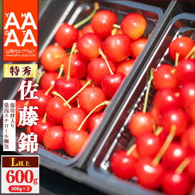【ふるさと納税】《先行予約！》山形県産 さくらんぼ「 佐藤錦 」【保冷剤入り発泡スチロール梱包】 特秀品 600g (300g×2) L以上 【2026年6月上旬頃〜下旬頃発送予定】※配送不可 沖縄・離島 フルーツ 特産 産地 直送 300グラム 600グラム 2026年産 令和8年産 山形県産