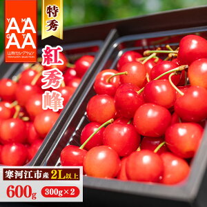yӂ邳Ɣ[Łzss\It R`Y ځu gG vGi 600g(300g×2pbN) 2Lȏ y2026N6{`7{\z zs E t[c ʕ ʎ Y 