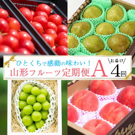 【ふるさと納税】《先行予約》令和8年産 特秀品 Aコース【定期便4回】フルーツ定期便 さくらんぼ 佐藤錦 白桃 シャインマスカット 洋梨 ラフランス 山形県産 【2026年6月上旬頃から発送開始予定】 ※配送不可 沖縄・離島 お取り寄せ 特産 名物 果物 東北 山形
