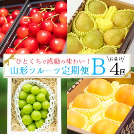 【ふるさと納税】《先行予約》令和8年産 特秀品 Bコース【定期便4回】フルーツ定期便 さくらんぼ 紅秀峰 黄桃 シャインマスカット 洋梨 ラネージュ 山形県産 【2026年6月中旬頃から発送開始予定】 ※配送不可 沖縄・離島 お取り寄せ ご当地 特産 名物 果物