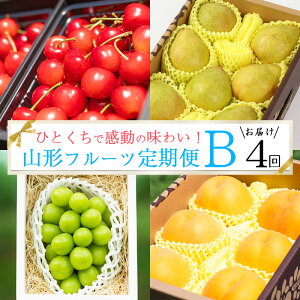 yӂ邳Ɣ[Łzss\tߘa8NY Gi BR[Xy4zt[c  gG  VC}XJbg m l[W R`Y y2026N6{甭Jn