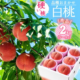 【ふるさと納税】 有機肥料栽培 硬めの 白桃 2kg（5〜9玉） 秀品 品種おまかせ 山形産 【2024年8月下旬頃～10月上旬頃発送予定】／ 果物 フルーツ 果実 お取り寄せ ご当地 グルメ デザート 特産 ピーチ 果汁 SDGs 産地直送 東北 2024年産 令和6年産 2キロ ふるさと納税 桃