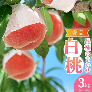 yӂ邳Ɣ[Łzߘa8NY s\ L@엿͔|  2kg ` 3kg Gi i킨܂ R`Y y2026N8{`9{\z ʕ t[c  Yn k R` 2026N