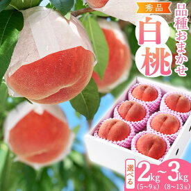 【ふるさと納税】令和8年産 先行予約 有機質肥料栽培 白桃 2kg 〜 3kg 秀品 品種おまかせ 山形県産 【2026年8月下旬頃〜9月下旬頃発送予定】 果物 フルーツ お取り寄せ 産地直送 東北 山形 2026年産 令和8年産 2キロ 3キロ 2gk 3kg