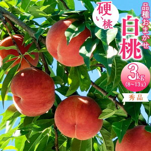 yӂ邳Ɣ[Łz ߘa8NY s\ IׂIL@엿͔| d߂  2kg ` 3kg Gi i킨܂ R`Y y2026N8{`10{\z ʕ t[c  Yn