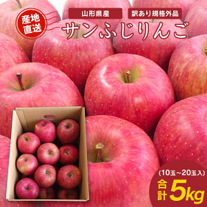 yӂ邳Ɣ[Łzs ƒp t Tӂ  5kg (10ʁ`20) y11{珇\z^  󂠂 5L t[c ʕ  R`Y _ƒ ʌ 2025NY 