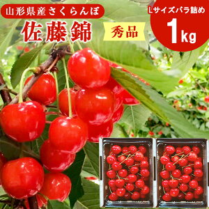 yӂ邳Ɣ[Łzss\t 500g / 1kg 2026NY  VN   LTCY Gi y2026N5{6{\z zs E2026NY ߘa8NY R`Y 