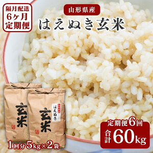 yӂ邳Ɣ[ŁzV 6 ͂ʂ  v60kg (10kg× 6) y 2025N10 ߘa7NY V z^  ֗ _ƒ ͂ k 5L 10L 60L 6 6 z Iׂ 