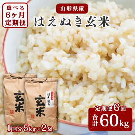 【ふるさと納税】選べる《令和7年産・令和8年産》 6回定期便 はえぬき 玄米 合計60kg (10kg× 6回) 2025年産 2026年産 山形県産お取り寄せ 小分け 便利 農家直送 ごはん 東北 5キロ 10キロ 60キロ 6ヵ月 6ヶ月 配送時期 選べる 山形 米どころ 2025年 定期便 6か月