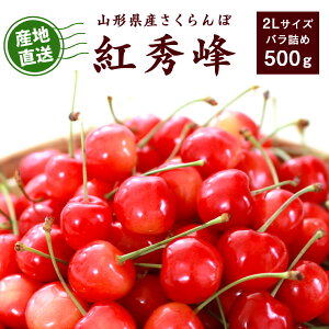 yӂ邳Ɣ[Łzss\t2026NY _Ƃ VN  gG 500g 2LTCY Gi y2026N6{6{\z zs E@ 2026NY ߘa8NY R`