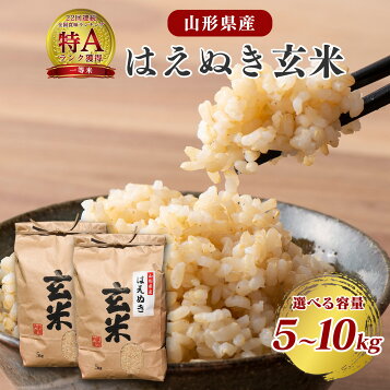 楽天市場】令和7年産山形県産はえぬき 1等 玄米 30kg : 丹野商店