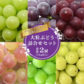 【ふるさと納税】《先行予約》令和8年産 シャインマスカットと人気のぶどう 食べ比べ セット 計2房（計1kg以上）品種おまかせ 山形県産 2026年産【2026年9月中旬頃から11月頃発送予定】 農家直送 生産者直送 山形県産 山形産 産地直送 果物 フルーツ 詰め合わせ