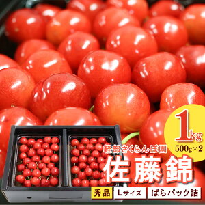 yӂ邳Ɣ[Łzs\ R`Y   L Gi 1kg i΂pbNl ) 500g×2pbN ߘa8NYy2026N6{`{\zzs Et[c ʕ ʎ R