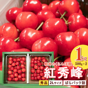 yӂ邳Ɣ[Łzs\ R`Y  gG 2L Gi 1kg i΂pbNl ) 500g×2pbN ߘa8NYy2026N6{`7{\zzs Et[c ʕ ʎ 