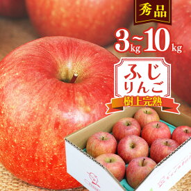 【ふるさと納税】令和8年産 樹上完熟 りんご 3kg - 10kg 秀品 「ふじりんご」 2026年産 山形県産【2026年11月下旬頃から12月下旬頃発送予定】 お取り寄せ ご当地 特産 産地直送 果物 フルーツ 新鮮 季節 冬 林檎 デザート おやつ 東北 山形県産 3キロ 5キロ 10キロ