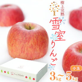 【ふるさと納税】令和8年産 選べる！ 雪室りんご 3kg - 5kg「樹上完熟 ふじりんご」 小玉サイズ 2026年産 山形県産 【2027年1月上旬頃から3月頃 発送予定】 雪室 お取り寄せ ご当地 特産 果物 フルーツ くだもの リンゴ 林檎 季節 冬 食後 デザート