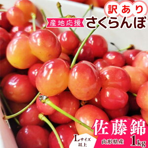 �y�ӂ邳�Ɣ[�Łz�y��s�\��z�󂠂�i�o�q�ʓ���j �������� ������ L�T�C�Y�ȏ� 500g �` 1kg �o���l �ߘa8�N�Y �R�`���Y�y2026�N6����{���`���{�������\��z���z���s�� ����E�����t���[