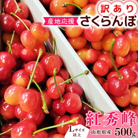 【ふるさと納税】【先行予約】訳あり（双子果入り） さくらんぼ 紅秀峰 Lサイズ以上 500g 〜 1kg バラ詰 令和8年産 山形県産【2026年6月中旬頃〜7月上旬頃発送予定】※配送不可 沖縄・離島フルーツ 果物 果実 山形産 500グラム 1キロ 2026年産 令和8年 家庭用 双子