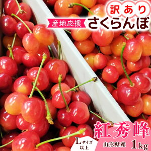 �y�ӂ邳�Ɣ[�Łz�y��s�\��z�󂠂�i�o�q�ʓ���j �������� �g�G�� L�T�C�Y�ȏ� 500g �` 1kg �o���l �ߘa8�N�Y �R�`���Y�y2026�N6�����{���`7����{�������\��z���z���s�� ����E�����t��