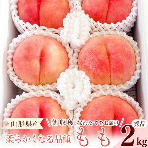 �y�ӂ邳�Ɣ[�Łz��s�\�� �ߘa8�N�Y �R�`�̓� ���炩���Ȃ锒�� �G�i 2kg �i�킨�܂��� 2026�N�Y �R�`���Y�y2026�N8����{���`9�����{�������\��z���z���s�� ����E���� �ʕ� �t���[�c ��