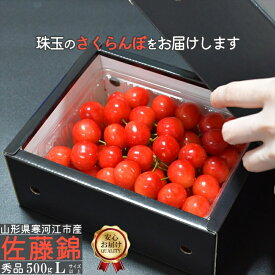 【ふるさと納税】《受付終了間近！》令和8年産 さくらんぼ 「佐藤錦」Lサイズ以上 秀品 500g バラ詰め 山形県産 2026年産【2026年6月上旬頃〜下旬頃発送予定】※配送不可 沖縄・離島お取り寄せ フルーツ 果物 果実 特産 東北 道の駅 チェリーランド さがえ 500グラム