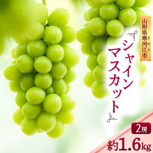 yӂ邳Ɣ[Łz2025NủwIv ߘa7NY 嗱Ԃǂ VC}XJbg v1.6kgi2[j R`Y 2025NYy2025N10{`10{z\z zs EԂ