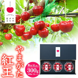 【ふるさと納税】《先行予約》山形県産 さくらんぼ 「やまがた紅王」3Lサイズ以上 秀品 300g（100g×3）化粧箱 ダイヤパック 【2026年6月中旬頃〜6月下旬頃発送予定】※配送不可 沖縄・離島／ 2026年産 令和8年産 お取り寄せ 果物 果実 くだもの サクランボ 特産 東北 山形