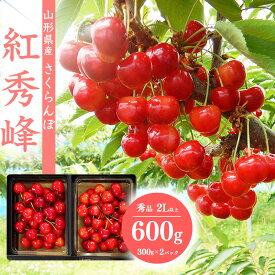 【ふるさと納税】さくらんぼ 「紅秀峰」秀品 2Lサイズ以上 600g（300g×2） 《化粧箱入り》 山形産 【2024年6月下旬頃〜7月上旬頃発送予定】／ お取り寄せ フルーツ 果物 くだもの 果実 ご当地 特産 東北 2024年産 令和6年産 300グラム 600グラム