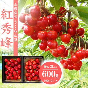 yӂ邳Ɣ[Łzss\tR`Y  ugGv2LTCYȏ Gi 600gi300g×2j ϔ y2026N6{`7{\zzs E 2026NY ߘa8NY t