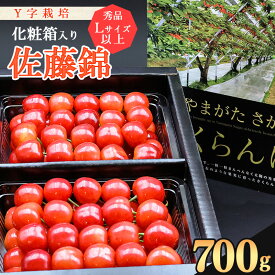【ふるさと納税】《先行予約！》山形県産 さくらんぼ《こだわりのY字仕立て栽培》「佐藤錦」700g 秀品 Lサイズ以上 化粧箱入り 【2026年6月上旬頃〜下旬頃発送予定】※配送不可 沖縄・離島2026年産 令和8年産 お取り寄せ 特産 高級 山形 山形県 生産者直送