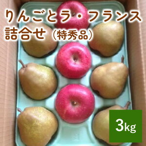 yӂ邳Ɣ[Łz  EtX l 3kg Gi p ʕ t[c S ܍͔| m  Yn  R` Rs 0007-2502