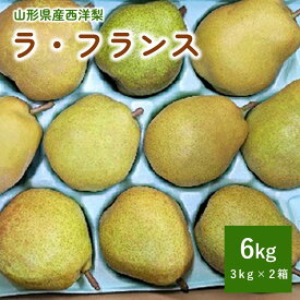 【ふるさと納税】西洋梨 ラ・フランス 6kg ( 3kg × 2箱 ) 計 12～20玉 ご家庭用 山形県 上山市 0011-2406