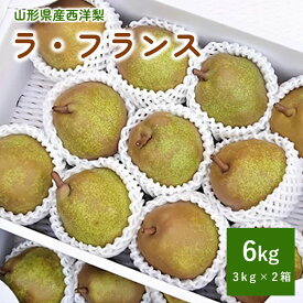 【ふるさと納税】西洋梨 ラ・フランス 3kg × 2箱 ご家庭用 計 6kg フルーツ 果物 くだもの 産地直送 山形 洋なし お取り寄せグルメ 冷蔵配送 送料無料 山形 上山市 0015-2406