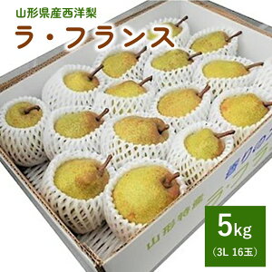 yӂ邳Ɣ[Łz m ( EtX ) 5kg 16 3L Gi p ʕ t[c mȂ R` Yn   R` Rs 0040-2504