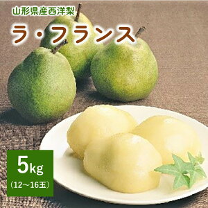 yӂ邳Ɣ[ŁzmiEtXj5kg 12`16 Gi tX mȂ m t[c  ʕ Yn  O k R` Rs 0060-2515