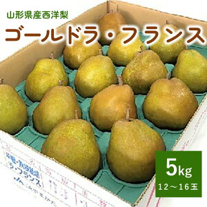 yӂ邳Ɣ[Łzm ( S[hEtX ) 5kg 12`16 Gi tX mȂ m t[c  ʕ Yn  k R` Rs 0060-2516