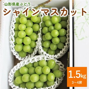 yӂ邳Ɣ[ŁzԂǂ (VC}XJbg) 1.5kg ƒp  uhE t[c k R` Rs 0085-2502