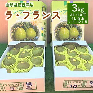 yӂ邳Ɣ[Łzm i EtX j 3kg Gi 1 ʕ t[c m  Yn  R` Rs 0089-2502