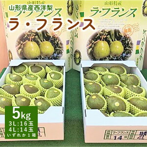 yӂ邳Ɣ[Łzm EtX 5kg Gi 1 ʕ t[c m  Yn  R` Rs 0089-2504